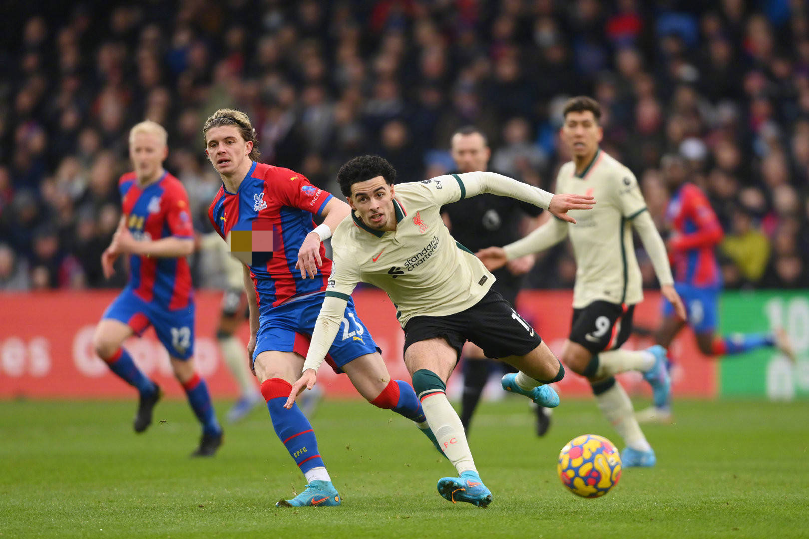 这种矛盾的 这种矛盾的